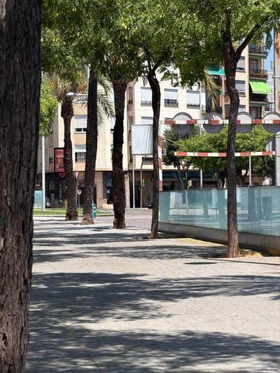 The image depicts a sun-drenched street scene in Castelló De La Plana, Spain. The foreground is dominated by the rough bark of a large tree trunk, angled from the bottom left to the top right. Behind this, a row of palm trees with textured, dark bark stands tall, their fronds casting dappled shadows on the paved sidewalk to their right. The sidewalk itself is a light gray concrete, marked with diagonal lines and covered in the abstract patterns of sunlight filtering through the leaves above.
In the background, a modern building with a light-colored facade rises, featuring multiple windows with white shutters. A bright green awning extends from one of the upper floors. Adjacent to the building, a glass-enclosed structure reflects the surrounding environment, creating a mirrored effect of trees and buildings.
A traffic light, displaying a green signal, is visible amongst the trees, suggesting an active roadway nearby. Red and white striped barriers, characteristic of a railway crossing or construction area, are also present. On a signboard, the text "CONFOR" is partially visible, along with what appears to be an advertisement. Another sign displays the numbers "14 3" and a circular red sign with a white horizontal bar, indicating a prohibition. The overall impression is of a warm, clear day, with the strong sunlight creating a high contrast between light and shadow. The scene suggests an urban environment with a mix of natural elements, such as the trees, and man-made structures.
