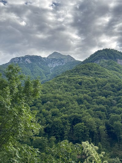 This is a landscape photograph of a lush, densely forested mountain range under a cloudy sky. In the foreground, the leaves of several trees are visible, appearing vibrant green. The middle ground and background are dominated by the steep slopes of mountains covered in a thick canopy of green trees. The uppermost peaks of the mountains are rocky and jagged, contrasting with the softer, rounded shapes of the forested areas. The sky is filled with dramatic, grey clouds, suggesting overcast weather or a storm approaching. The overall impression is one of natural wilderness and rugged terrain, likely depicting a scene in the mountainous region near Raško, Montenegro. There are no people or discernible man-made structures visible in the image.