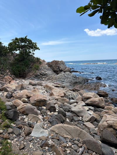 The image shows a rocky coastline with the sea in the background under a clear blue sky with some scattered clouds. The foreground is dominated by a variety of rocks and pebbles of different sizes and colors, ranging from dark gray to light brown and pinkish hues. A green tree with lush foliage is visible on the left side of the image, growing amongst the rocks and vegetation. The sea is a deep blue and appears calm with small waves lapping against the shore. In the distance, a few rocks or small islands are visible protruding from the water. The overall scene depicts a natural coastal landscape, likely a beach or a rocky shore in the city of Phú Lương, Vietnam. There are no people or man-made structures visible in the image.