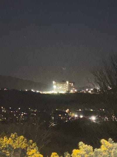 A nocturnal view in Gourock, United Kingdom, focuses on a illuminated building on the shoreline, possibly a pier or structure jutting into the water. The scene is obscured by fog or mist, softening the lights emanating from the building. In the foreground, the silhouetted branches of trees and a row of street lamps line the shore. The left side of the image is filled with a dark, seemingly endless expanse of the night sky, while the right side includes some trees with yellow flowers.