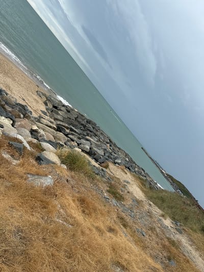 This image depicts a section of the coastline in Courtown, Ireland. The scene is dominated by a body of water, likely the sea, which occupies the upper portion of the frame and is a muted greenish-blue. The water meets a sandy beach, with gentle waves lapping at the shore. Along the edge of the beach, a man-made barrier of large, grey and brown rocks has been constructed, forming a breakwater or sea defense. Dry, golden-brown grass and sparse green vegetation grow on the embankment above the rocky barrier. In the distance, a long pier or jetty extends into the water. The sky above is overcast with grey clouds, creating a diffused light. The image is oriented with a strong diagonal tilt. There are no people visible in the frame.