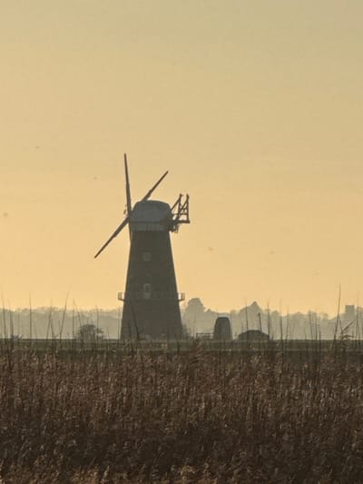 The image presents a rural landscape dominated by silhouetted structures against a hazy, pale orange-yellow sky, indicative of early morning or late afternoon. In the foreground, the lower third of the frame is filled with dense, dry reeds or marsh grasses appearing dark brown to black. Centrally positioned in the midground, slightly to the left, stands a prominent, dark-silhouetted drainage windmill, a typical structure for the Broadland region of the United Kingdom. This windmill features a distinct conical cap, four angled sails, and a fantail mechanism on its rear. The land beyond the reeds appears flat. To the right of the main windmill, another smaller, conical structure is visible in silhouette, likely a secondary mill. A low line of distant trees and vegetation stretches across the horizon. On the far right, the silhouette of a church tower with a distinct castellated top is discernible. No people or specific actions are visible within the scene. The environment is characteristic of a fenland or marsh area within Broadland, United Kingdom.