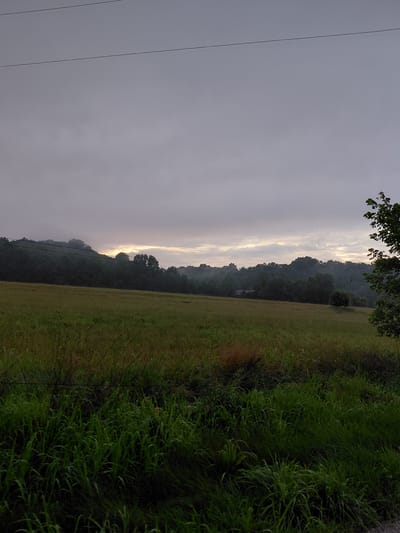 This image depicts an outdoor scene with a focus on a landscape, likely during the early morning or late evening given the diffused lighting and overcast sky. The foreground is dominated by a lush, vibrant green field of grass that appears somewhat tall and wild, sloping upwards. To the left of the field, a dark line of trees forms a dense border, receding into the distance. Beyond the trees, a rolling hill or mountain range is visible, shrouded in a soft mist or fog, further obscuring the details of the landscape. The sky is a uniform pale gray, with some lighter streaks that suggest the presence of clouds or the faint rays of a low-hanging sun struggling to break through. Two thin, dark, parallel lines run vertically on the left side of the image, possibly representing power lines or fence wires, adding a man-made element to the natural setting.

The overall mood of the image is serene and slightly melancholic, evoking a sense of quiet solitude. The lack of any human presence or activity emphasizes the natural beauty of the environment. The colors are muted, with the greens of the grass and trees being the most prominent. The mist adds a sense of depth and mystery to the background. The image appears to be taken in a rural or semi-rural location, consistent with the mention of Frankfort, United States, as a potential location. There is no visible text in the image.