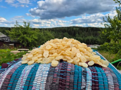 A close-up shot captures a pile of small, creamy-yellow buttons resting on a colorful, woven surface. The buttons, appearing to be made of plastic, are round with two or four holes and vary slightly in size and opacity. They are clustered together, creating a soft mound that dominates the foreground. The woven surface beneath them is a textured blend of blue, white, grey, and maroon stripes, suggesting it might be a mat or a piece of fabric.
In the background, a blurred, verdant landscape unfolds under a partly cloudy sky. Lush green trees form a dense line, possibly a forest, with hints of a darker green suggesting pine or fir trees. To the left, a dark-tiled roof of a building and some greenery are faintly visible, suggesting a rural or suburban setting. The sky above is a vibrant blue, punctuated by dramatic, white and grey clouds, hinting at dynamic weather or the approaching end of a warm day.
The overall scene evokes a sense of rustic simplicity and perhaps a DIY or crafting activity, with the buttons ready to be used in a sewing or creative project. The soft lighting suggests it is daytime, likely late afternoon or early evening given the cloud formations. The location context of Машезеро, Russia, adds a specific geographical element to this peaceful, outdoor tableau. There is no visible text in the image.