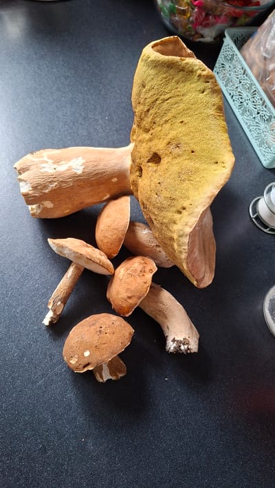 A pile of porcini mushrooms rests on a dark, speckled surface, likely a countertop. The mushrooms vary in size and stage of ripeness. One large mushroom, prominently featured, has a distinctive bright yellow, porous underside beneath its cap. Several smaller mushrooms, with brown caps and white stems, are arranged around the larger one. In the background, a light blue, ornate basket and a clear bowl filled with colorful wrapped candies are visible. The overall scene suggests a culinary or gathering context, possibly in a domestic setting within Novoilinsky, Russia, given the specified location.