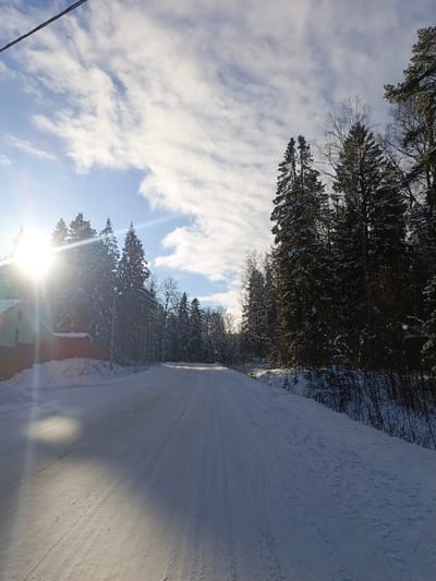 This image depicts a snow-covered rural road in Гвардейское, Russia, on a sunny winter day. The road, appearing unpaved, is covered in packed snow with visible tire tracks extending into the distance. Snow banks line both sides of the road. On the left, a light-colored building with a dark roof and a reddish-brown structure or fence are partially visible behind a snow-covered verge. Dense coniferous forest, primarily composed of pine and spruce trees heavily laden with snow, borders both sides of the road, with taller trees prominent on the right. The sun is low on the left, emitting a strong lens flare, illuminating the scene and casting soft shadows. The sky is bright blue with scattered white, wispy clouds. A dark wire or cable diagonally traverses the upper left corner of the frame. No individuals or active vehicles are present.