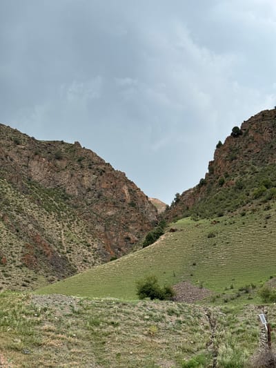 The image depicts a natural landscape in the vicinity of Kyzyl-Korgon, Kyrgyzstan. The scene is characterized by steep, rocky hillsides covered with sparse vegetation, primarily grasses and some shrubs. The terrain is uneven, with a narrow valley or pass cutting through the mountains. The sky is overcast with a uniform gray cloud cover. In the foreground, the ground is rocky and covered with dry grasses. A small, dark green bush is visible on a gentler slope. On the right side of the frame, a wooden post with a small solar panel attached is present. The overall impression is of a remote, mountainous, and somewhat arid environment. There are no people or animals visible in the image.