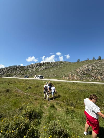 In Bichiktu-Boom, Russia, on a sunny day with a clear blue sky dotted with white clouds, a group of five people are walking on a grassy path near a road. In the foreground, on the right, a woman wearing a white top and red shorts walks away from the camera. Behind her and to the left, four individuals are walking in a line, also moving away from the camera. The person in the lead wears a white t-shirt and beige shorts. The second person wears a white t-shirt and blue shorts, the third wears a dark top and patterned shorts, and the fourth, a woman with dark hair, wears a dark top and shorts. The path leads towards a road with a few vehicles, including a black car, a white camper van, and a white minibus. Beyond the road, a rocky, green mountain range dominates the landscape, with sparse trees visible on its crest. The area is covered in tall green grass, with patches of small yellow flowers. The overall scene depicts an outdoor excursion in a natural, mountainous setting.