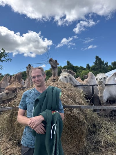 A man with glasses and a blue t-shirt stands in front of a large pile of hay, holding a dark green hooded sweatshirt. He is looking at the camera with a slight smile. Behind him, several camels are gathered around the hay, with one camel in the foreground on the right eating from the pile. The background shows a line of trees and a bright blue sky with white clouds. The scene appears to be outdoors, possibly at a zoo or animal sanctuary. The city of Tri Ozera, Russia is not identifiable from the image.