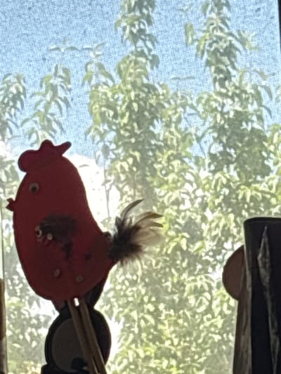 This is a close-up, eye-level photograph of a red, felt chicken puppet with googly eyes, a brown feather tail, and some decorative buttons. The puppet is attached to sticks, suggesting it is a puppet for hand manipulation. It is positioned in front of a window with a sheer, patterned curtain that diffuses the light from the outdoor environment. Through the curtain, a lush green foliage of trees is visible, indicating an outdoor setting with abundant vegetation. The overall lighting suggests it is daytime, possibly a sunny day, with the sunlight filtering through the window and plants. There is no indication of the city of Enevo, Bulgaria in the image itself.