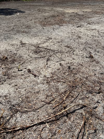 The image depicts a patch of sandy soil covered with twigs, leaves, and debris. A shadow of foliage is cast on the upper left portion of the scene. The environment appears to be an outdoor area in Lehigh Acres, United States, possibly a park, undeveloped lot, or the aftermath of a natural event like a wildfire, given the scorched appearance and scattered organic matter. There are no people or animals visible in the frame.