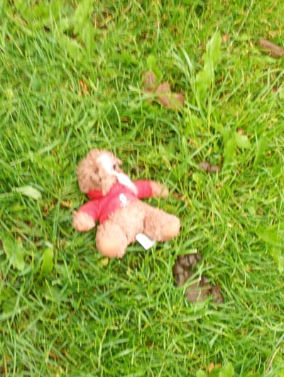 A stuffed teddy bear, wearing a red hoodie with a white logo, lies on its back in green grass. The bear has brown fur and black eyes. The red hoodie has a white circular logo on the left breast. There are some brown leaves scattered on the grass. The scene is outdoors. The image does not contain any identifiable landmarks or features that would allow for a precise location within Zawiercie, Poland.