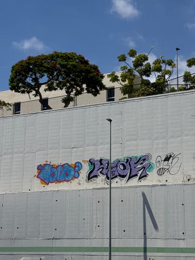 The image depicts a section of a concrete building with graffiti art and a tree in front of it. The building's facade is a light gray color and appears to be made of large concrete panels. Several pieces of graffiti are visible on the wall. One piece is black and white, featuring stylized cartoon-like eyes and a striped pattern. Below this, there is another graffiti tag in purple and black with teal accents, appearing to be a word or name. Further down the wall, there is a graffiti tag in blue with yellow and pink outlines, also an illegible word or name. A thin green stripe runs vertically up the right side of the image, possibly part of the building's design or another artistic element.

A large tree with dark green foliage and red flowers is prominent in the left side of the image, arching towards the building. The tree is lush and appears to be in bloom. The branches of the tree extend across the concrete wall. The sky visible behind the tree is a clear blue with a few white clouds, suggesting it is daytime and the weather is fair.

The image is taken from a low angle, looking upwards towards the building and the tree. The shadow of a tree branch is cast across the concrete wall. There are also two streetlights visible, one higher up near the top left and another lower down on the right side of the building. The presence of graffiti and the style of the building suggest an urban or semi-urban environment. The location context of Fañabé, Spain, would imply a warm climate.