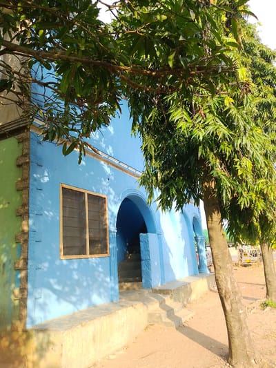 An exterior, eye-level, medium shot shows a bright blue building with green accents in the city of Tolo Tolo, Nigeria. The building has a textured, light-colored foundation, and a window with wooden framing and a mesh screen. Adjacent to the window, an arched doorway leads to a staircase. Several trees with lush green leaves overhang the building, casting shadows on its facade. A dirt path with some vegetation runs along the side of the building, and two trees stand prominently in the foreground. The scene is lit by natural sunlight, creating a warm and bright atmosphere.