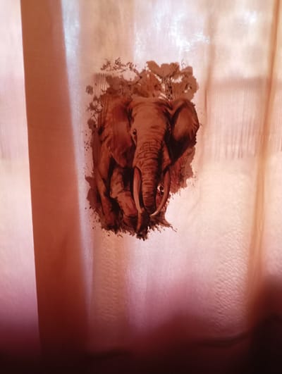 The image shows a curtain with a graphic design of an elephant. The elephant is depicted in brown tones, with its trunk raised and tusks visible. It appears to be set against a backdrop of trees. The curtain itself is a pale pink or peach color and has vertical pleats. The lighting suggests it is daytime, with light filtering through the curtain, creating a soft, diffused glow. The image does not contain any information that would allow for its location to be identified as Alferovo, Russia, or any other specific geographical place. There are no people, actions, or interactions to describe.