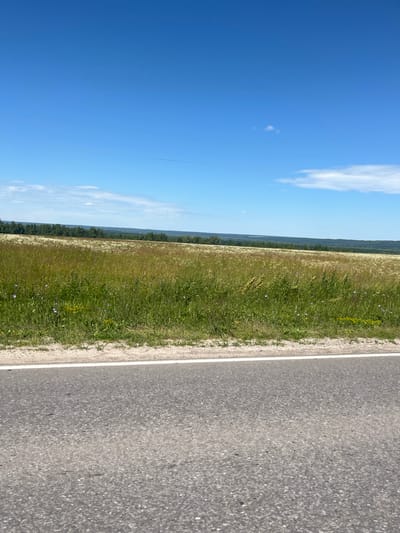 The image depicts a landscape scene, likely on the outskirts of Kozlovka, Russia, given the provided context. In the foreground, a section of asphalt road with a white dividing line is visible. Adjacent to the road is a grassy verge, transitioning into a meadow filled with a variety of grasses and wildflowers. The meadow extends towards a distant treeline, which forms a dark, undulating band across the horizon. Beyond the trees, the land appears to slope gently upwards, with further stretches of varied terrain visible under a vast, clear blue sky. A few wispy white clouds are scattered across the upper portion of the sky. The overall impression is one of a rural, natural environment bathed in bright daylight. There are no people or animals visible in the frame.