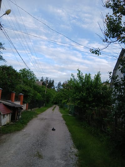 This is a medium-shot, eye-level, outdoor photograph taken on a cloudy day in Vita-Poshtova, Ukraine. The scene depicts a rural dirt road lined with trees and houses. In the foreground, the gravel road is visible, with a small, dark object, possibly a pigeon, in the middle of the road. To the left, there is a small, run-down shed with a red roof and a brick wall. Further down the road, to the right, is a dark metal fence overgrown with vines, separating the road from a dense green area. The sky is a pale blue with scattered white clouds. Overhead, numerous power lines crisscross the sky, attached to a lamppost on the left side of the frame. The overall impression is one of a quiet, somewhat neglected, rural setting.