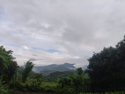 This is a wide-angle, eye-level shot of a lush, verdant landscape in Ban Nong Phak Hueat, Thailand, under a cloudy sky. The scene is dominated by dense, green foliage, including trees, bamboo, and various plants, covering the foreground and extending into the middle ground. Rolling hills and mountains, partially obscured by mist and clouds, form the backdrop. The sky is overcast with a mix of light and dark gray clouds, with a few patches of lighter blue visible. No people or animals are present. The environment suggests a rural, possibly mountainous or hilly region with abundant vegetation.