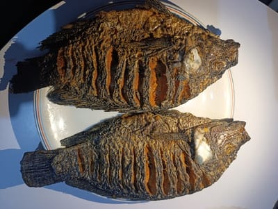 Two golden-brown fried fish are presented on a white plate with a thin blue and orange rim. The fish appear crispy, with visible scoring marks revealing an orange hue beneath the surface. The heads are intact, each with a small white spot near the gill area. The tails and fins are darkened from frying, creating a slight contrast to the rest of the body. The arrangement is simple and highlights the food.