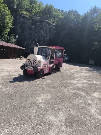 A pink and off-white, custom-built, train-like passenger vehicle is parked centrally on a light grey gravel surface under bright daylight in Raianovtsi, Bulgaria. The vehicle's front section resembles a locomotive with a white, ribbed grille, black bumper, two circular headlights, and a black smokestack. The driver's cab is white with clear windows, and the rear passenger section is pink. The vehicle bears Cyrillic text "ОБЩИНА ВЕЛИКО ТЪРНОВО" (Municipality of Veliko Tarnovo) on its side.

In the background, dense green foliage covers a prominent dark grey rock face or cliff on the left, extending across the upper portion of the image. A small, single-story wooden building with a reddish-brown roof and wooden walls is visible to the left, partially obscured by the vehicle's shadow. A white satellite dish is mounted near this building. One individual is seated outdoors near a table adjacent to the building.

On the right side of the image, more dense green foliage is visible. In the mid-ground to the right, a large, rectangular, light grey metal dumpster is present. Several other vehicles, including one appearing to be a light-colored van, are partially visible further in the background behind the pink vehicle. An individual in a light blue shirt is partially visible near these distant vehicles.

The ground is uniformly covered in light grey gravel, indicating an unpaved area or parking lot. Strong sunlight from the right casts sharp, dark shadows, most notably from the pink vehicle, onto the gravel foreground. A clear blue sky is visible above the tree line.