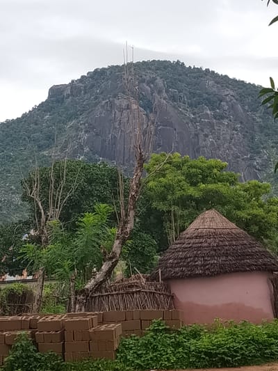 The image shows a rocky, tree-covered mountain in the background. In the foreground, there is a small, round, thatched-roof hut with pink walls. In front of the hut, there are stacks of brown bricks and lush green foliage. The scene appears to be a rural landscape, possibly in Barikin Sibre, Nigeria. The sky is overcast and the lighting is soft. There are no people visible in the image. The overall impression is one of a simple, rustic dwelling nestled within a natural environment.