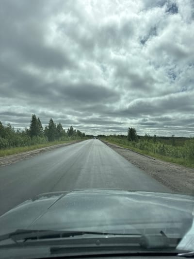 The image captures a view from inside a vehicle, looking out at a wet asphalt road stretching into the distance. The road is bordered by a grassy shoulder and lush green vegetation, with trees lining the left side of the road. The sky is overcast with dramatic, striated grey clouds, suggesting a cloudy or potentially rainy day. The time of day is indeterminate due to the cloud cover, but the overall lighting is subdued. The scene appears to be a rural or semi-rural landscape, possibly in Russia given the location context of Parma. The perspective from within the car, with the windshield and part of the car's interior visible on the right, indicates movement along the road. There are no visible people or text in the image. The overall mood is calm and perhaps a bit somber due to the weather.