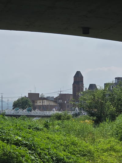 A medium shot photograph taken from below a concrete overpass shows a view of the city of Anseong-si, South Korea, on an overcast day. In the foreground, lush green vegetation dominates the scene. Beyond the greenery, a bridge with an artistic white railing featuring wave-like designs and blue spherical accents spans across a body of water, though the water itself is not clearly visible. Behind the bridge, a cluster of buildings is visible, including a prominent, tall, reddish-brown brick structure with a dark, pointed roof, resembling a church steeple or tower. Further buildings, some with lighter facades, are scattered behind it. Several utility poles and wires are present in the mid-ground. Trees are interspersed among the buildings. The sky is a pale gray, with hints of clouds. The overall impression is one of an urban landscape bordered by natural elements.