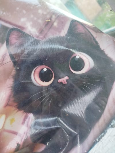 The image displays a close-up view of a black cat's face printed on a plastic surface. The cat has large, round, pink-rimmed eyes with black pupils. Its nose is small and pink, and it has prominent white whiskers. The plastic surface appears to be slightly wrinkled and reflective, showing some distorted background elements which include hints of green and brown, possibly indicating an outdoor environment. There are also a few small, light-colored specks on the plastic surface. The image's focus is solely on the printed cat face, with no discernable location in Holendry, Ukraine, or any identifiable individuals or actions.