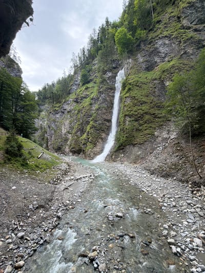 The image depicts a powerful waterfall cascading down a steep, moss-covered rock face in a narrow gorge. The water is white and frothy as it plunges into a shallow, rocky riverbed. The river flows through the gorge, surrounded by large stones and gravel. Lush green trees and vegetation cling to the sides of the gorge, with a dense forest visible at the top of the cliffs. The sky is overcast with a pale gray. On the left side of the gorge, a grassy slope leads up to a path with a wooden railing, suggesting a hiking trail. The overall impression is one of a wild and natural landscape. This location is in the Liechtensteinklamm, a gorge located near Saint Johann im Pongau, Austria, renowned for its dramatic waterfalls and rugged beauty. There are no people or animals visible in the image.