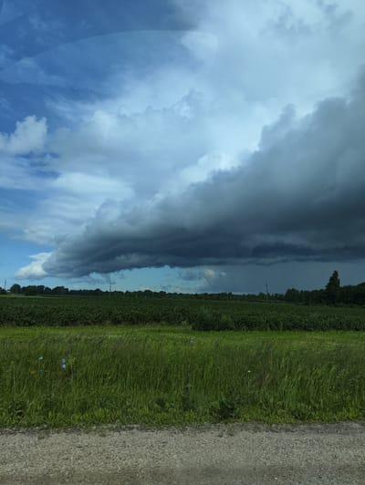 The image depicts a rural landscape under a dramatic sky. In the foreground, a gravel road borders a field of tall green grass, dotted with small blue wildflowers. Beyond the grass, a neatly cultivated field of dark green crops stretches horizontally across the mid-ground. A line of trees forms the horizon, with a single tall evergreen tree standing out on the right. The sky is dominated by a large, dark gray storm cloud mass moving in from the right, contrasting with patches of bright blue sky and lighter white clouds on the left. The scene appears to be located in a rural area, possibly on the outskirts of Ainaži, Latvia, given the flat terrain, cultivated fields, and the presence of trees. No people or specific structures indicative of a city are visible. The overall impression is one of an approaching weather front over a farming region.