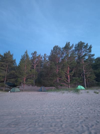 In Motornoe, Russia, a campsite is set up on a sandy shore with a dense pine forest bordering the area. The sky is a clear, deep blue, indicating it is likely early morning or late evening. Four tents are visible: one dark green hammock tent is suspended between trees on the left, a smaller green dome tent is pitched on the sand in front of it, and a dark blue and yellow dome tent is set up further to the right. Another bright green dome tent is positioned in the middle ground, partially obscured by grass and sand dunes. The sand is textured with footprints and ripples, suggesting recent activity. The pine trees are tall and slender with thick green foliage. The lighting is dim, casting soft shadows on the sand.