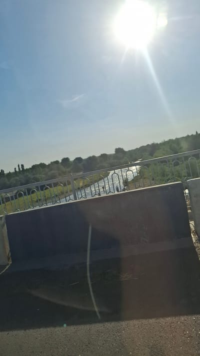 The image depicts a sunny day scene with a river flowing through a vegetated area, viewed from what appears to be a bridge. The sun is bright and high in the sky, casting glare. A metal railing is visible in the foreground, along with a concrete barrier. The river is lined with trees and greenery on both sides. There are a few indistinct figures in or near the water. The foreground also shows a paved surface, possibly a road or walkway. The location is identified as a bridge in the city of Қызылжар, Kazakhstan.