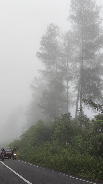 The image depicts a foggy, overcast day on a paved road likely in or near Bintangpermata, Indonesia. The road surface is asphalt with white lane markings. On the left side of the road, a maroon van is parked, and two motorcycles are present. One motorcycle is in motion with a rider, and another is stationary. The van appears to be a passenger vehicle. The right side of the road is bordered by dense, green vegetation, including tall grass and bushes, with several tall pine trees rising into the thick fog. The fog significantly obscures the background, reducing visibility of the trees and landscape. The overall atmosphere is damp and muted due to the weather conditions.