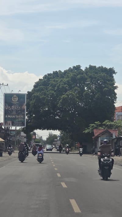 The image shows a street in Barat Yaman, Indonesia. A large tree is on the left side of the road, obscuring some of the buildings behind it. A billboard with the words "A MAN TASTE" is in front of the tree. Several motorcycles are on the road, moving away from the camera. The road has white dashed lines dividing the lanes. The sky is blue with some clouds.
