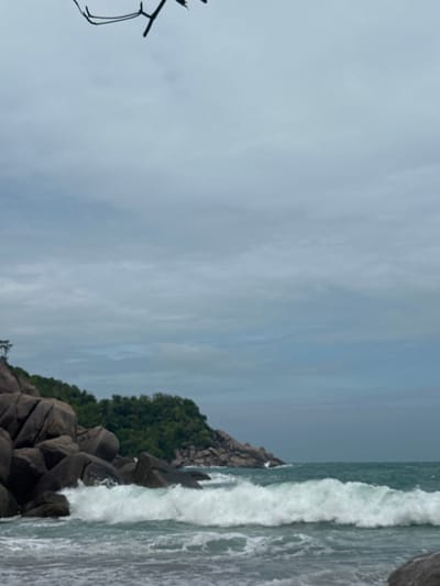 The image shows a rocky coastline with waves crashing against the rocks. Lush green vegetation covers part of the rocky outcrop. The sky is overcast with a blend of gray and light blue hues. A faint silhouette of an object is visible on the left. The overall scene depicts a serene yet rugged coastal landscape.