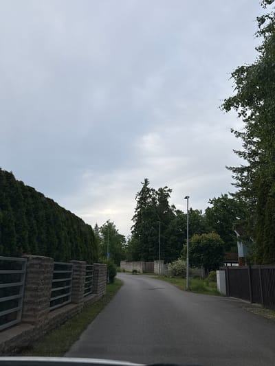 The image depicts a street in Tabasalu alevik, Estonia, under an overcast sky. A paved road curves to the right, bordered by a stone and metal fence on the left and a dark wooden fence on the right. Lush green trees and hedges line both sides of the street, with a few houses partially visible behind the foliage. Streetlights are present, and a blue road sign is visible in the distance. The scene is quiet and appears to be a residential area.