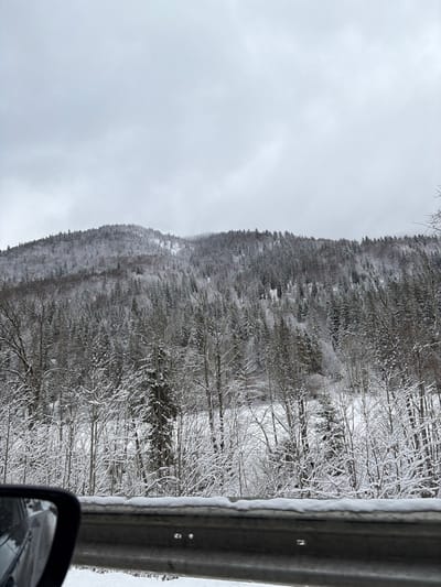 The image displays a winter landscape in Achenkirch, Austria, observed from a low vantage point, possibly from a vehicle or roadside. A prominent snow-covered mountain or large hill dominates the background, densely forested with numerous trees. Both coniferous trees, heavy with snow, and bare deciduous trees, their branches outlined in white, are visible. The sky above is overcast and uniformly light grey. In the immediate foreground, a grey metal guardrail runs horizontally across the lower portion of the frame, with its top surface coated in snow. A black vehicle side mirror is partially visible in the bottom left corner, reflecting an indistinct dark shape. The ground visible below the guardrail is covered in snow. No individuals, animals, or specific actions are discernible within the frame.
