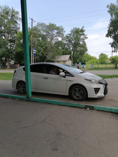 A white 2012-2017 Toyota Prius hybrid car is parked on a cracked asphalt surface near a green metal barrier. A man is visible inside the car, seated in the driver's seat, looking down. In the background, there is a bus stop sign with a bus symbol and an elder tree. Beyond that, there are residential buildings, trees, and a power pole with overhead wires under a clear sky. The scene appears to be in Novopokrovka, Russia.