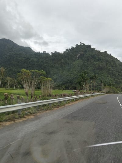 The image displays a rural mountainous landscape in Meunasahcot, Indonesia, under an overcast sky. In the foreground, an asphalt road curves gradually to the right, showing areas of dark patching and surface wear. A solid white line marks the road's right edge, with a dashed white line partially visible towards the center. A silver-colored metal guardrail runs parallel to the road on the left. Beyond the guardrail, a narrow strip of dry soil precedes a flat, verdant green field, consistent with a rice paddy. Within and bordering this field are numerous short, pruned-appearing trees with slender trunks and sparse foliage, alongside several taller, leafier trees and a cluster of palm trees. A small, light-colored structure featuring a blue roof is faintly visible in the mid-distance within the field. The background is dominated by a large, densely forested mountain range, rising steeply and covered in dark green tropical vegetation. The sky is completely overcast with thick, grey clouds. No individuals or active subjects are present in the frame.