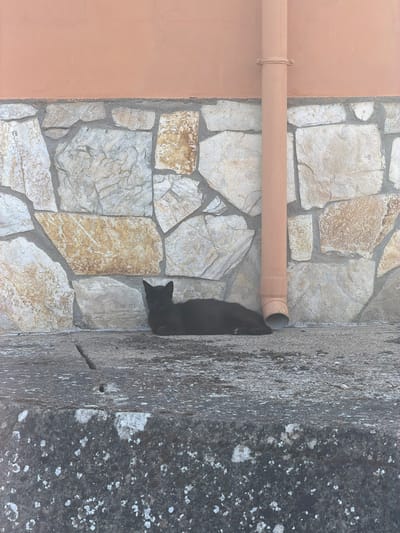 A black cat is resting on a concrete surface against a stone wall. A pale orange downspout runs vertically along the right side of the image, parallel to the wall. The wall is constructed of irregular, flat stones of various light colors, with a pale peach-colored plaster above it. The concrete surface in the foreground is rough and uneven, with patches of lichen. The scene is set in Arcahueja, Spain.