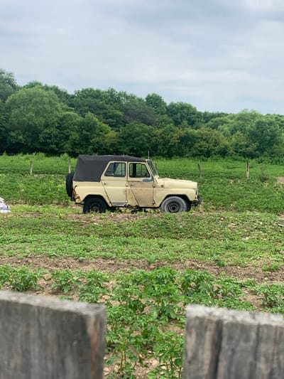An aged, light tan, soft-top SUV is parked in a field of green crops. The SUV is facing right, with its rear tire mounted on the back. A black soft top covers the passenger cabin. The vehicle appears weathered, with rust visible on the rear quarter panel. The field extends to a dense line of green trees in the background under a cloudy sky. The foreground features a blurred wooden fence. The scene is likely located in Ustinovka, Russia, given the context provided. There are no people visible in the image.