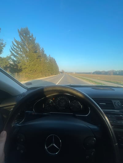 The image displays a first-person view from the driver's seat of a Mercedes-Benz vehicle, situated on a paved road near Weißenhorn, Germany. A left hand is visible gripping the lower-left portion of a black, multi-function steering wheel. The vehicle's instrument cluster is partially visible through the steering wheel, showing a speedometer in kilometers per hour with the needle indicating approximately 80 km/h. A yellow warning light is illuminated in the upper right quadrant of the speedometer. The central digital display presents trip information including "From start 0:17h", "6km", "2.3l/100km", an ambient temperature of "+11.0°C", and a trip distance of "3319.6 km". The odometer reads "D 250597 km".
Outside the vehicle, a two-lane road extends forward and curves slightly to the right in the distance. A continuous white line marks the right edge of the road. To the left, a dense, unbroken line of tall coniferous trees runs parallel to the road, separated by a light-colored wooden fence. These trees cast long shadows across the road surface. To the right of the road, expansive, open agricultural fields extend to a distant treeline and faint structures on the horizon. The sky overhead is clear and uniformly bright blue, indicating sunny weather.