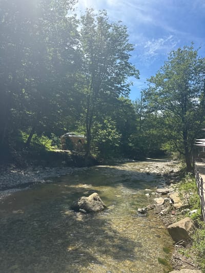 The image depicts a sun-drenched, natural scene of a shallow, rocky river flowing through a forested area. The riverbed is visible, with clear, shallow water flowing over a bed of pebbles and larger rocks. Sunlight filters through the dense green canopy of trees lining the banks, casting dappled shadows on the water and ground.
On the left bank, a small, light-colored gazebo or canopy structure is visible amidst the trees, appearing to be a sheltered seating or resting area. A set of metal stairs descends towards the river on the far left.
The right bank of the river features a wooden deck or walkway with railings, indicating a man-made access point or viewing area. Some chairs and tables are visible on this deck, suggesting it's part of an outdoor seating area for a facility.
The sky above is a bright blue with scattered white clouds. The overall impression is one of a tranquil, natural environment, likely a park or recreational area within the city of Shirokaya Schel, Russia, where visitors can relax and enjoy the riverside scenery. There are no people visible in the image.