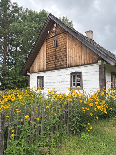 In Sielachowskie, Poland, a weathered, white wooden house stands with a wooden-shingled roof and a gabled section clad in horizontal wooden planks. The house has several wooden-framed windows with panes, and a rustic stone chimney rises from the roof. A line of tall, yellow flowers with green foliage borders a worn, wooden fence in front of the house. In the background, a dense green forest with tall trees creates a natural backdrop under an overcast sky. The scene depicts a traditional rural homestead.