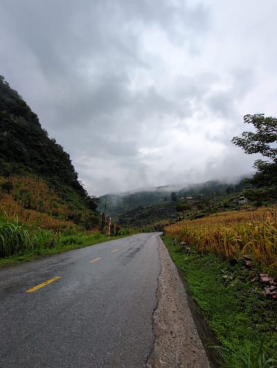 The image depicts a wet asphalt road curving through a mountainous landscape under a cloudy sky. The road has yellow dashed lane markers. To the left, a steep, densely vegetated hillside rises, with patches of dry brown vegetation interspersed with green foliage. To the right, a field of tall, dry yellow crops, likely corn, borders the road. Beyond the field, more hills are visible, shrouded in mist and fog, with a few scattered buildings. In the foreground on the right, green grass grows along the roadside. A red and white striped pole is visible on the right side of the road. The overall scene suggests a rural setting in a humid, possibly mountainous region of Lũng Phìn Commune, Vietnam.