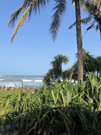 The image captures a serene beach scene in Moratuwa, Sri Lanka, with the gentle blue ocean meeting a rocky shoreline. Tall palm trees and lush green vegetation frame the view, with the ocean waves creating a soothing rhythm. The clear blue sky suggests a pleasant day. The foreground is dominated by dense green foliage, possibly screw pine plants, characteristic of tropical coastal areas. Beyond the greenery, the ocean stretches towards the horizon, with visible waves breaking on the shore. Scattered rocks are visible along the waterline, adding a natural texture to the beach. The overall atmosphere is tranquil and idyllic, showcasing the natural beauty of Moratuwa's coastline.