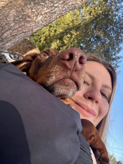 The image displays a close-up, upward-angled view of an adult female and a brown dog outdoors in Zelenogradskiy, Russia. The woman, positioned on the right, has light skin, light brown hair, and a subtle smile. Her lips are a light pink. She is wearing a dark, likely black, garment, visible on her left shoulder and arm. The dog, a brown-furred canine with reddish-brown coat and some graying fur around its muzzle, occupies the central and left portions of the frame. Its prominent wet nose and muzzle are angled slightly upwards and to the left, close to the camera. The dog's right eye is visible, looking upwards. It appears to be held or resting its head on the woman's shoulder or arm, with its right paw visible near her chest. The background features a clear blue sky dominating the upper right. A large tree trunk with textured bark is visible in the upper left, while green foliage from other trees is present in the upper center and right. A small, indistinct metallic object is faintly visible behind the dog's head on the far left.