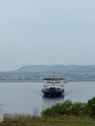A ferry, named "АЛЕКСАНДР АНАШКИН", is seen from behind as it moves away from the viewer on a body of water. The ferry is white with dark gray accents and has multiple windows. The stern of the ferry is visible, showing a dark hull and a wake trailing behind it. In the distance, a town or village is situated on the bank of the water, with houses and buildings visible. Behind the town, rolling hills form the backdrop. The sky is overcast and a light gray color. The foreground shows a grassy bank with some dry reeds and green bushes. The location is the city of Novoselovo, Russia.