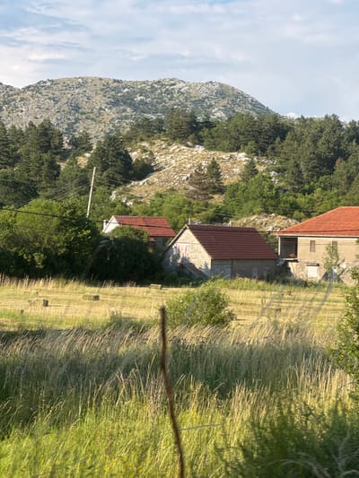 In Kopito, Montenegro, a pastoral scene unfolds with two rustic stone houses featuring red tiled roofs. One house, set back and partially obscured by lush green trees, has a stark grey concrete structure with a visible staircase leading to an entrance. The other, to the right, is a more substantial building, also constructed of grey stone, with a simple facade, small windows, and an open doorway. Between the houses and in the foreground, a field of tall, dry grass is dotted with several hay bales, suggesting recent agricultural activity. Behind the houses, a dense forest of dark green pine trees climbs a rocky, sparsely vegetated mountainside. The sky above is a pale blue, partially filled with soft, white clouds. A single wooden utility pole with wires is visible amongst the trees, hinting at the presence of infrastructure in this rural setting.