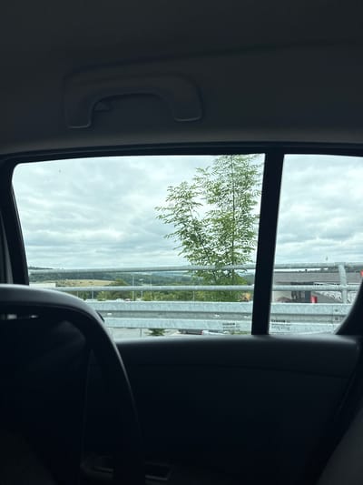 This image was taken from inside a vehicle, looking out the rear window towards a treed landscape under a cloudy sky. The foreground shows the dark interior of the car, including a portion of the seat and the frame of the window. Outside the window, a metal guardrail runs horizontally across the frame. Beyond the guardrail, a young tree with green leaves stands prominently in the center, its branches reaching upwards. In the background, rolling hills are visible, dotted with trees and some buildings. The sky is overcast with gray clouds. The image is dated August 31, 2023. There are no people visible in the image, and no actions or interactions are depicted. The location is the city of Braunfels, Germany.